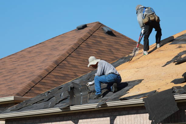 Best Metal Roofing Installation  in Wagner, SD