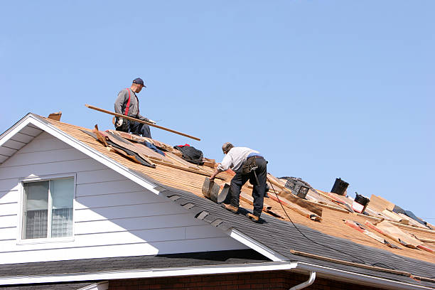 Best Roof Leak Repair  in Wagner, SD